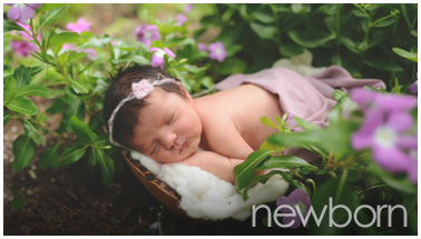 newborns